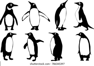 A collection of 8 vector penguins isolated on a white background.