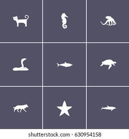 collection of 9 animal icons