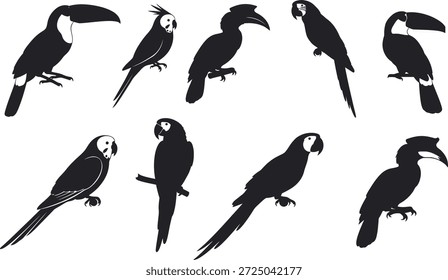 A collection of 9 black silhouettes of different toucan and parrot birds on a white background