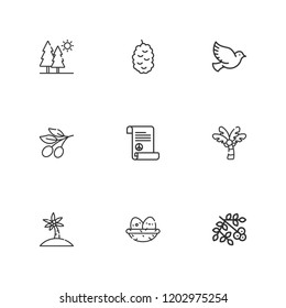 Collection of 9 branch outline icons include icons such as peace treaty, pigeon, palm tree, berry, nest, trees, olive
