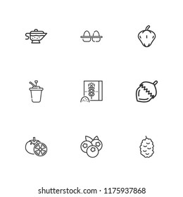 Collection of 9 ingredient outline icons include icons such as berry, blueberries, syrup, eggs, nut, pepper, sauce, tomatoes