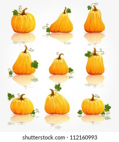 Collection of 9 pumpkins for Thanksgiving