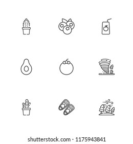 Collection of 9 tropical outline icons include icons such as juice, fins, mangosteen, banana, blueberries, hurricane, cactus