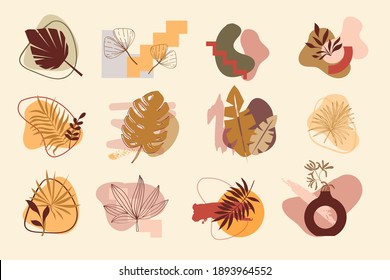 Collection Of Abstract Backgrounds, Logo Elements. Organic Elements And Brushes. Tropical Leaves Set