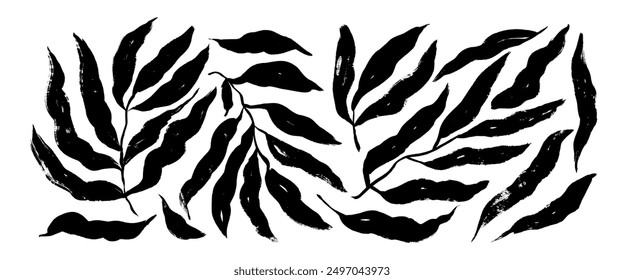 Collection of abstract brush drawn branches with long leaves. Botanical silhouette, doodle plant shapes. Exotic botanical background in sketch grunge style. Black twig, leaves or sprig silhouettes set