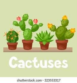 Collection of abstract cactuses in flower pot on shelves.