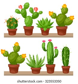 Collection of abstract cactuses in flower pot on shelves.