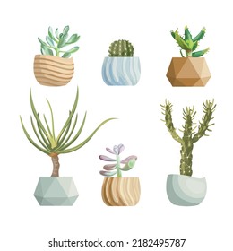 Collection of abstract cactuses and plants. Natural illustration