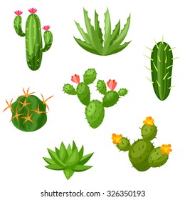 Collection of abstract cactuses and plants. Natural illustration.