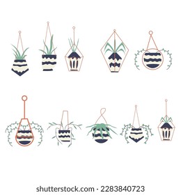 Collection of abstract and elegant hanging plants