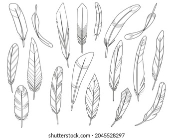 Colección de plumas abstractas. Ilustración vectorial de dibujos animados aislada en fondo blanco