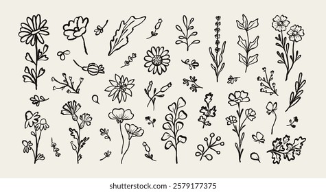 Collection abstract  flowers hand drawn brush ink stroke. Floral plants elements drawing charcoal, pencil, chalk style. Sketch hand drawn silhouette floral plant, leaf. Trendy vector illustration.
