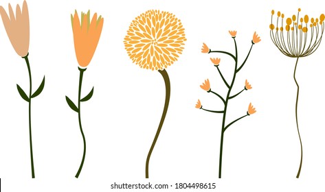 colección de flores abstractas aisladas en ilustraciones vectoriales blancas