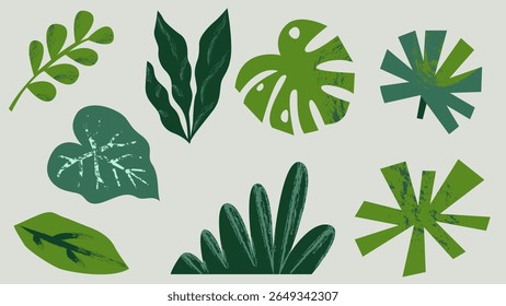 Collection of abstract green tropical leaves in flat vector style with rough textures and organic shapes. Concept of branding and packaging for eco-friendly products
