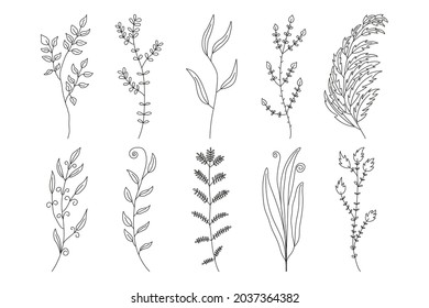 Collection of abstract minimalist branches, herbs and plants. For card, invitations, logo design. Black ink hand drawn sketch. Botanical line art set. Vector illustration isolated on white background.