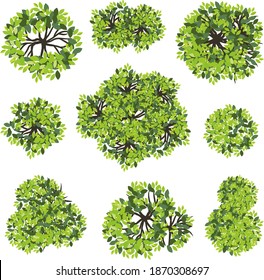 Collection of abstract vector green tree top view isolated on white background  for landscape plan and architecture layout drawing, elements for environment and garden, green grass