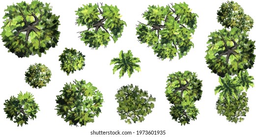 Collection of abstract vector green tree top view isolated on white background  for landscape plan and architecture layout drawing, elements for environment and garden, green grass vector illustration