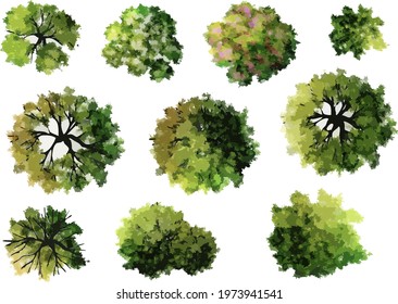 Collection of abstract vector green tree top view isolated on white background  for landscape plan and architecture layout drawing, elements for environment and garden, green grass vector illustration