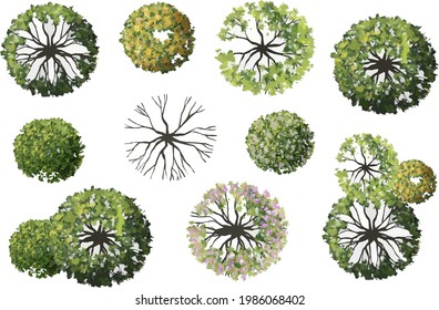 Collection of abstract vector green tree top view isolated on white background for landscape plan and architecture layout drawing, elements for environment and garden, green grass vector illustration