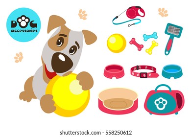 Collection of accessories for dogs. Funny dog Jack Russell Terrier plays with the ball. Vector illustration isolated on white background.