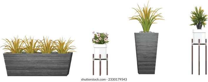 Collection of Acorus gramineus,Spanish dagger,Garden Cosmos,Sky plant in pots on isolated transparent background