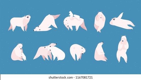 Collection of adorable amusing polar bear in different poses isolated on blue background. Cute funny cartoon Arctic animal in various postures. Colorful vector illustration in modern flat style.