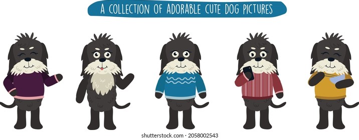 a collection of adorable cute dog pictures