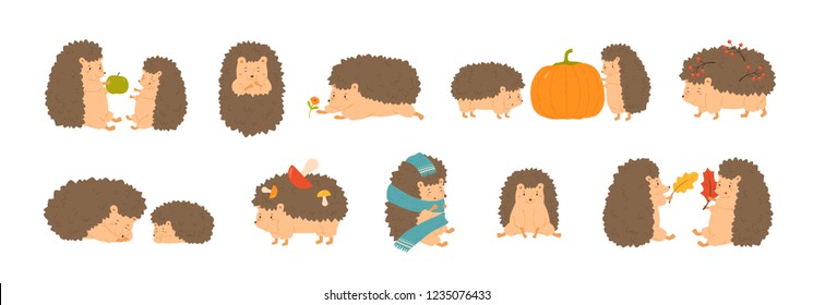 Collection of adorable hedgehogs carrying mushrooms and berries, playing with autumn leaves, sleeping. Set of cute forest animals isolated on white background. Flat cartoon vector illustration.