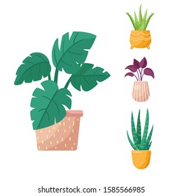 Collection of adorable pot plants. Vector set of houseplants for interior on white background