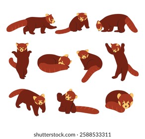 A collection of adorable red panda illustrations, featuring in various poses and expressions. Perfect for wildlife-themed designs, educational materials, animal lovers' merchandise, and nature-related