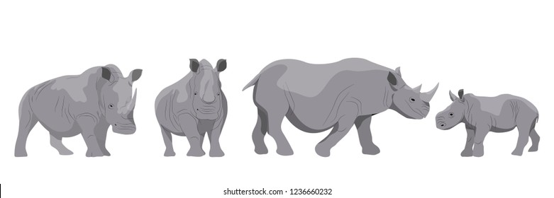 Collection of adult white and black african rhinos and their young. Realistic Vector Animals