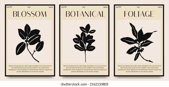 Collection of aesthetic posters with leaves in a minimalistic style. design for print, cover, wallpaper, minimal and natural wall art.