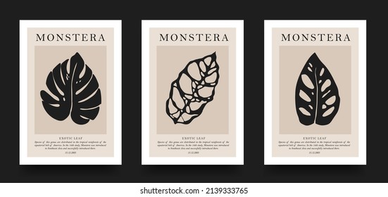 Collection of aesthetic posters with tropical leaves in a minimalist style. design for print, cover, wallpaper, minimalistic and natural wall art.