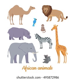 Collection of african animals. Flat design vector. Camel, lion, parrot, monkey, hippo, zebra, elephant, giraffe, koala illustrations. For nature concepts, books illustrating, printing materials