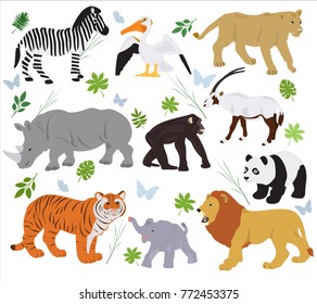Collection of African animals on a white background 