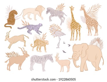 Collection of African wild animals and plants. Editable vector illustration.