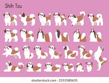 A collection of almost all Shih Tzu dog movements. Cute Chinese dog flat design style illustration.