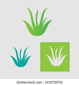 plantilla del logotipo de la colección Aloe Vera, etiqueta de aloe vera de hoja verde