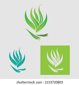 collection Aloe Vera logo template,Green leaf aloe vera label