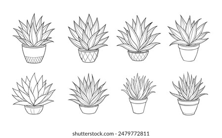 Collection of Aloe Vera Plant in Pot - Line Art Illustration