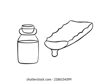 Collection of aloe vera plant slice with serum in a jar. Hand drawn cosmetology items in line style. Isolated vector illustration.