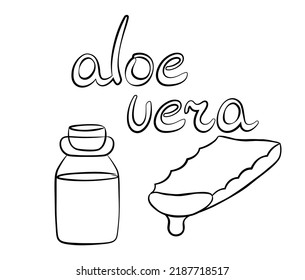 Collection of aloe vera plant slice with serum in a jar. Hand drawn cosmetology items in line style. Isolated vector illustration.