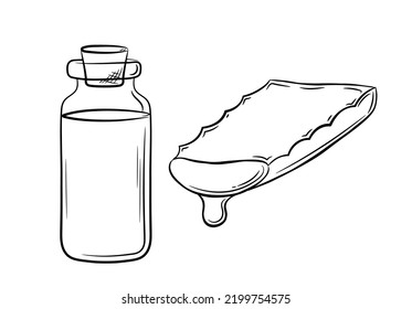 Collection of aloe vera plant slice with serum in a jar. Hand drawn cosmetology items in line style. Isolated vector illustration.	