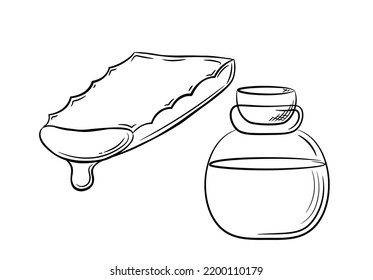 Collection of aloe vera plant slice with serum in a jar. Hand drawn cosmetology items in line style. Isolated vector illustration.	