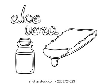 Collection of aloe vera plant slice with serum in a jar. Hand drawn cosmetology items in line style. Isolated vector illustration.	