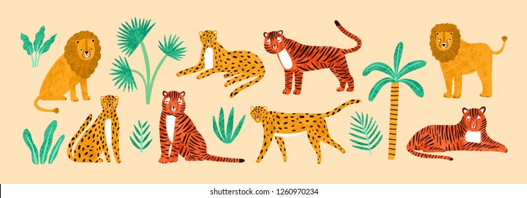 Collection of amusing lions, tigers, leopards, exotic leaves, tropical plants and palm tree isolated on light background. Bundle of wild African feline animals. Flat cartoon vector illustration.