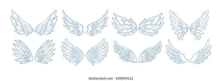 Collection of angel, bird or amour feather wings drawn with contour lines. Set of romantic decorative design elements isolated on white background. Elegant vector illustration for Valentine's day.