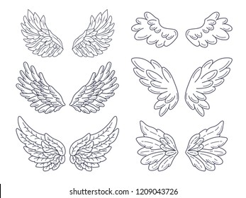 Collection of angel wings, wide spread. Contour drawing in modern line style. Vector illustration isolated on white. 