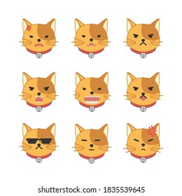 collection collection, angry cat face icon, isolated vector illustration