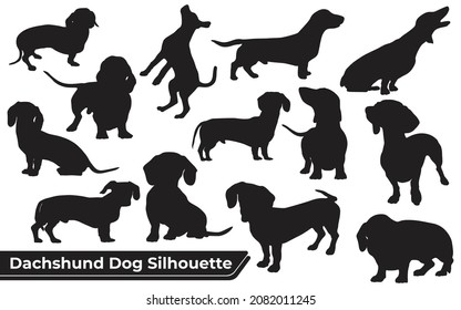 Collection Animal Dachshund Dog Different Positions Stock Vector ...